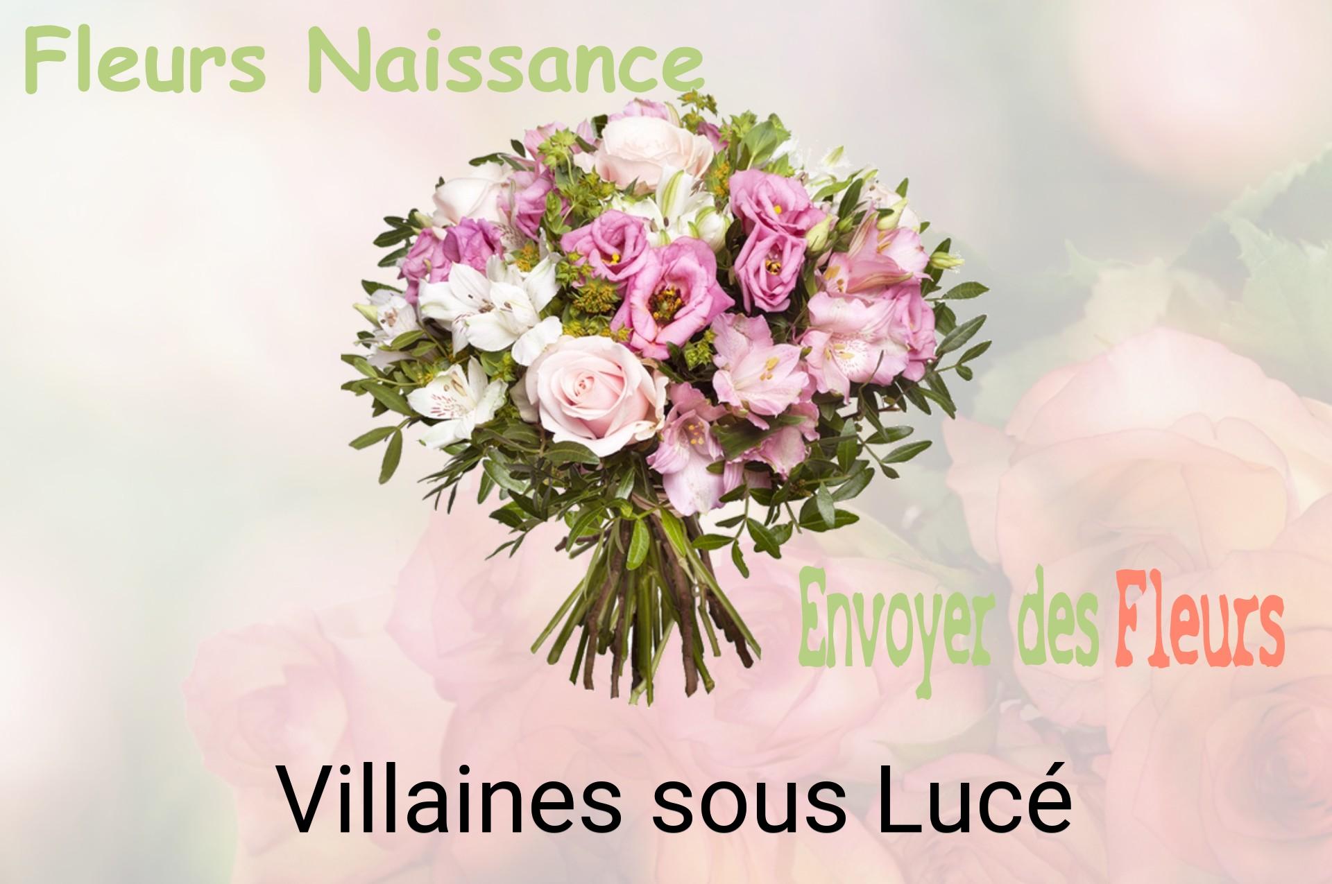 Bouquet de fleurs de naissance livré à Villaines-sous-Lucé
