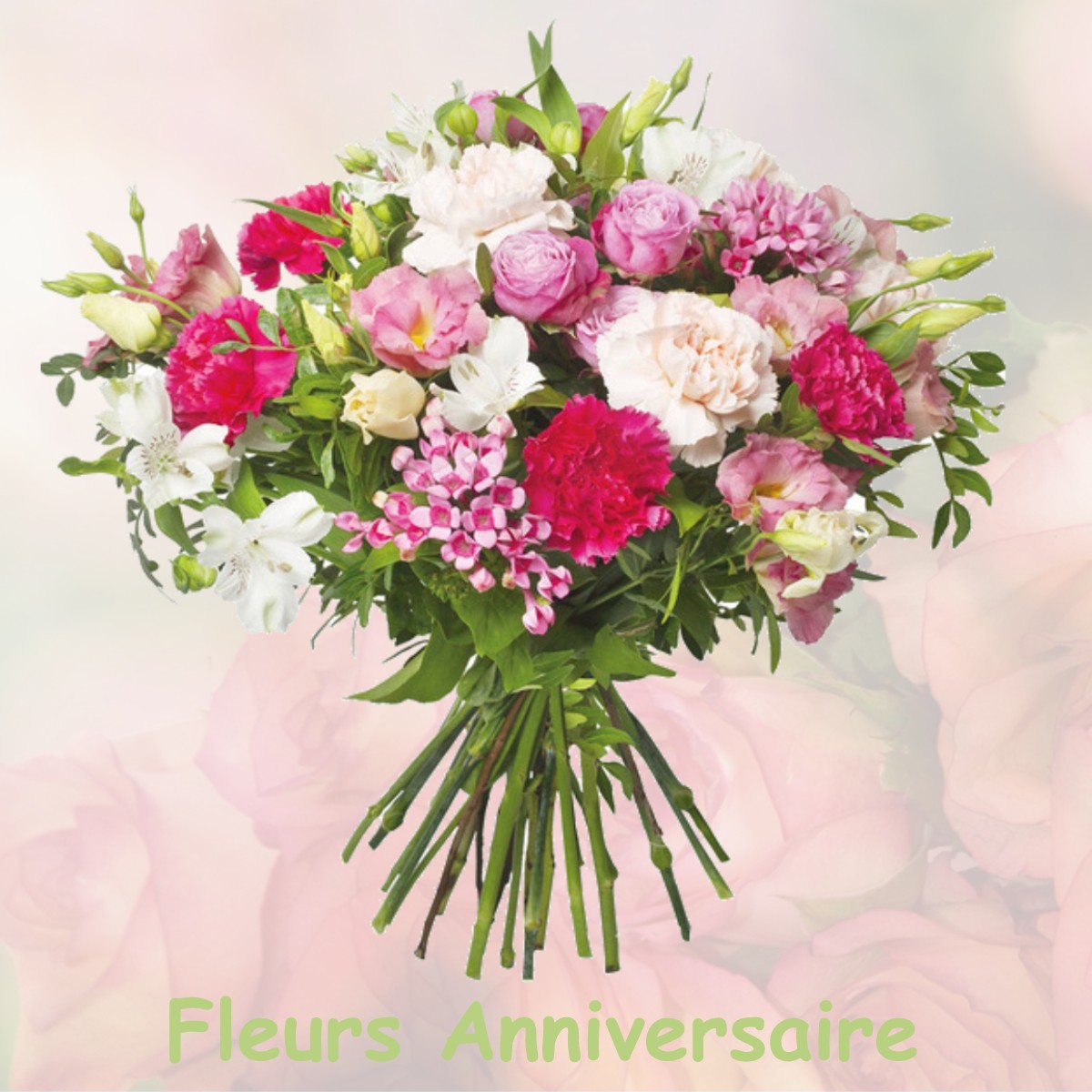 fleurs anniversaire VILLAINES-SOUS-LUCE
