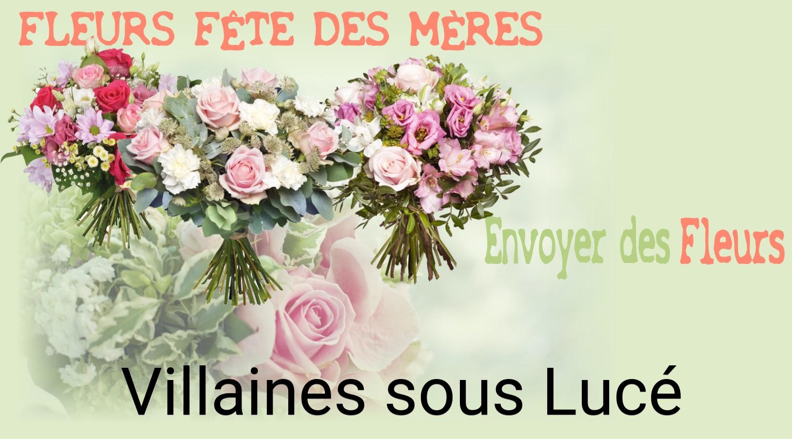 Bouquet de Fête des Mères livré à Villaines-sous-Lucé